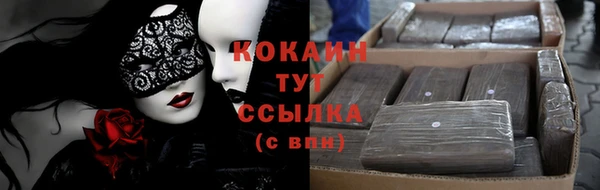 твердый Дедовск