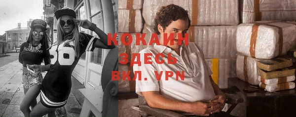 ГАЛЛЮЦИНОГЕННЫЕ ГРИБЫ Пересвет