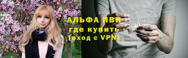 мдпв Ладушкин