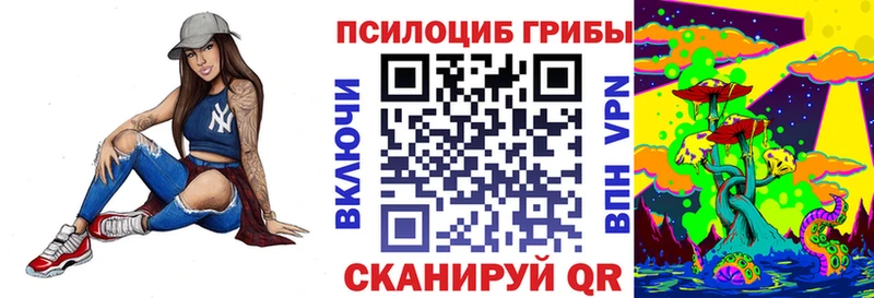 OMG сайт  Ершов  Галлюциногенные грибы прущие грибы 